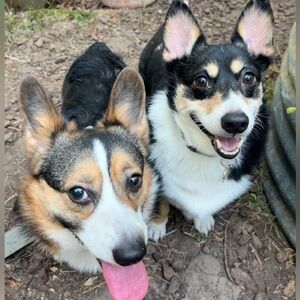 Meet your Posher, April